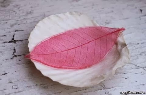 Diy colorful skeleton leaves 9