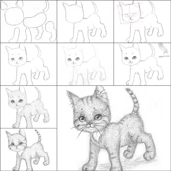 How to Draw a Kitten Easily | iCreativeIdeas.com