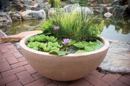 How to DIY Mini Garden Pond in a Container 4