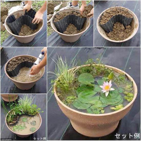 How to DIY Mini Garden Pond in a Container