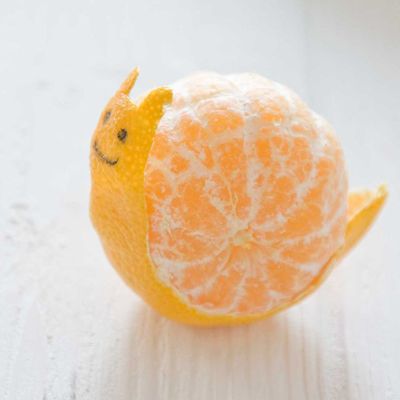 Creative-Animals-Made-of-Fruits-And-Vegetables-27.jpg