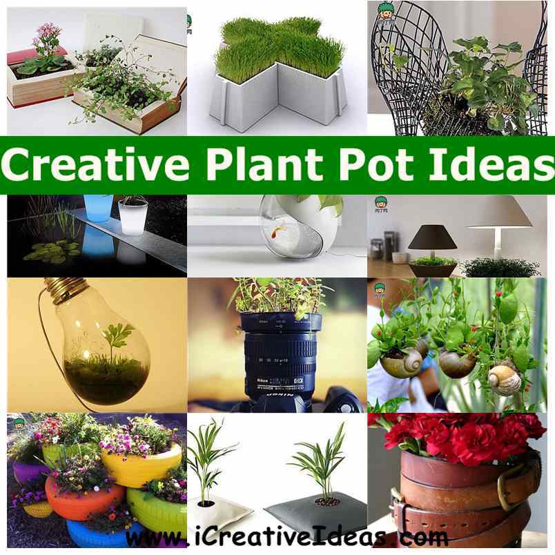Creative Plant Pot Ideas Creative Plant Pot Ideas