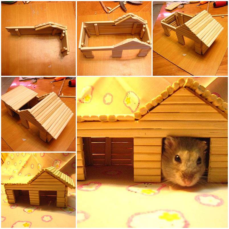 hamster home diy