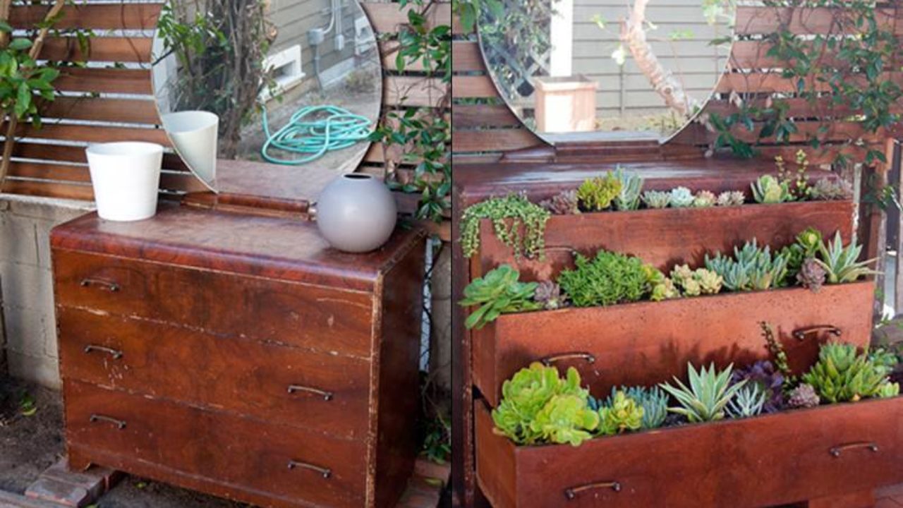 Diy Repurpose An Old Dresser Into Succulent Planter