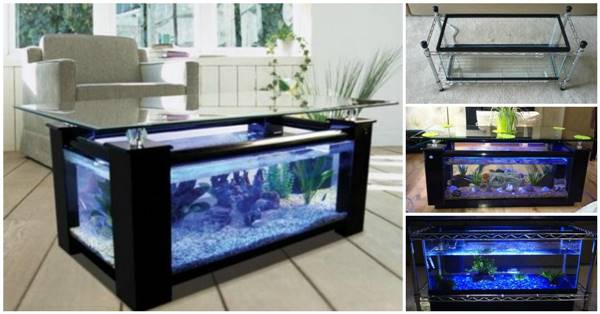 How to DIY Aquarium Coffee Table