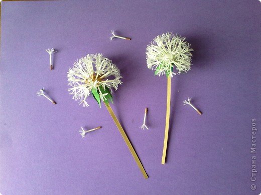 paper dandelions