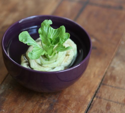 13 Vegetables That You Can Regrow Again And Again --> Bok Choy