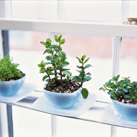 35+ Creative DIY Herb Garden Ideas --> DIY Teacup Herb Garden