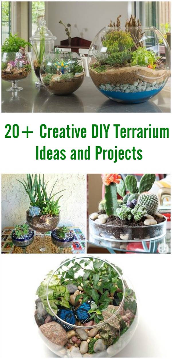 20+ Yaratıcı DIY Teraryum Fikirleri ve Projeleri