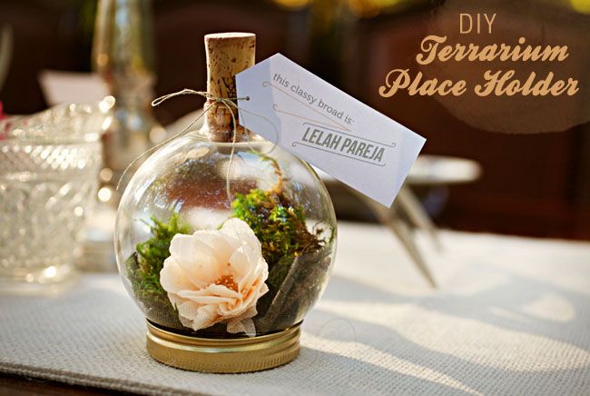 17 Creative DIY Terrarium Ideas