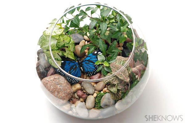 17 Creative DIY Terrarium Ideas