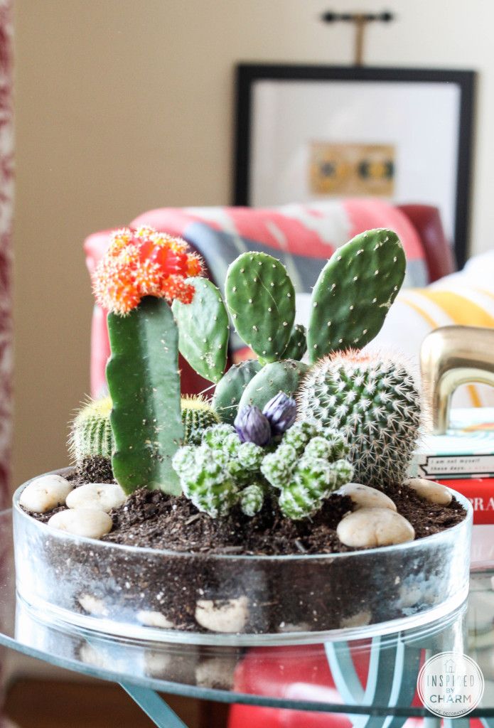 17 Creative DIY Terrarium Ideas