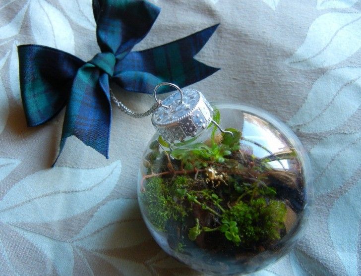 17 Creative DIY Terrarium Ideas