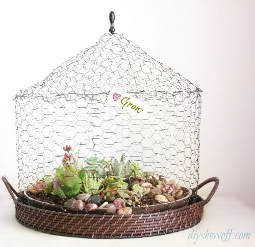 17 Creative DIY Terrarium Ideas