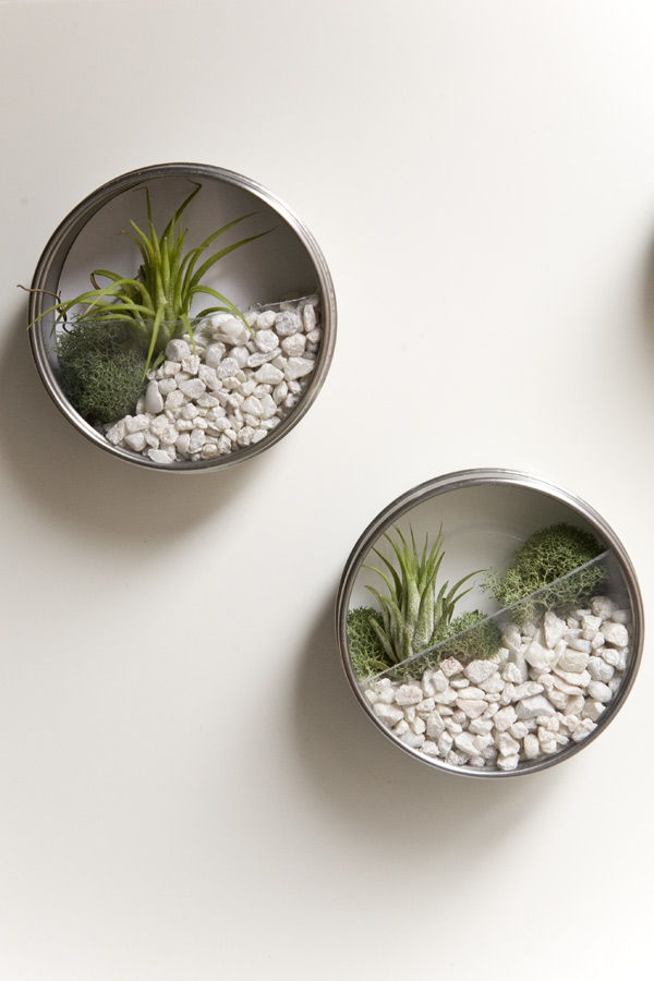 17 Creative DIY Terrarium Ideas