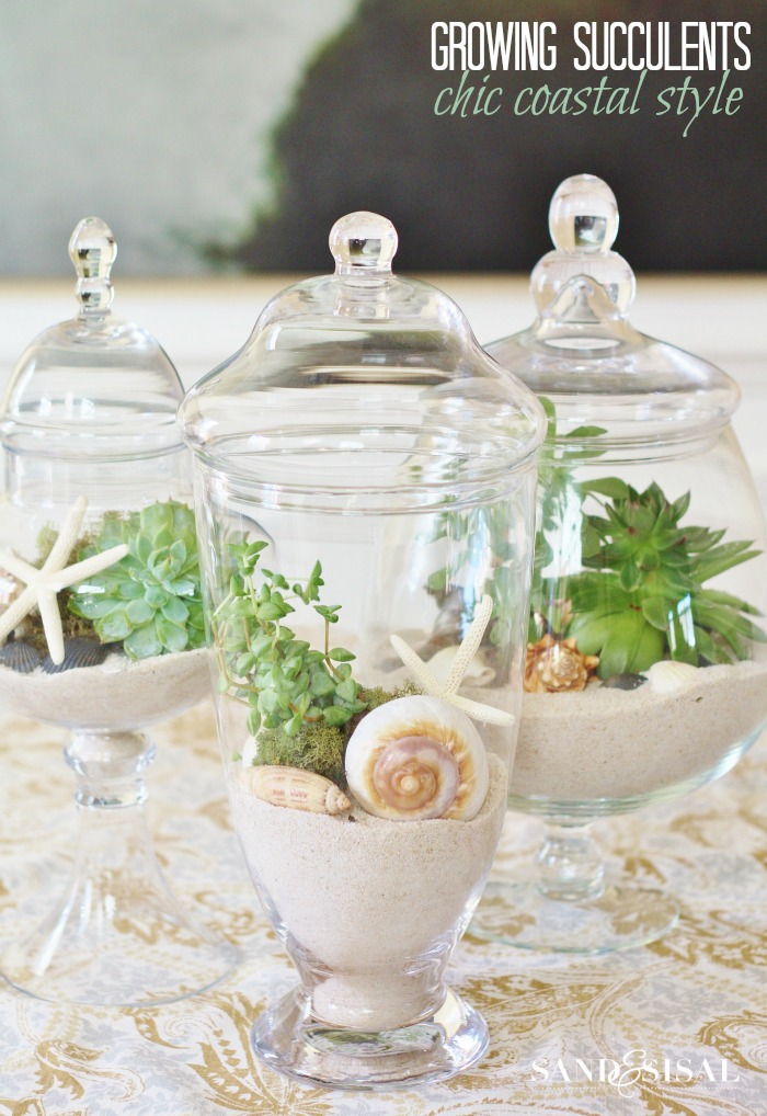 17 Creative DIY Terrarium Ideas