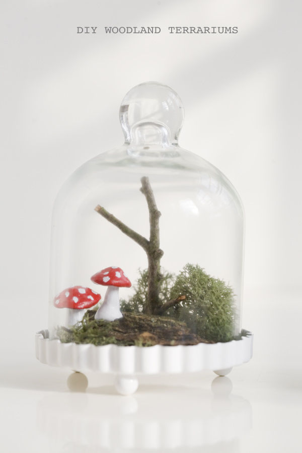 DIY Woodland Terraryumları