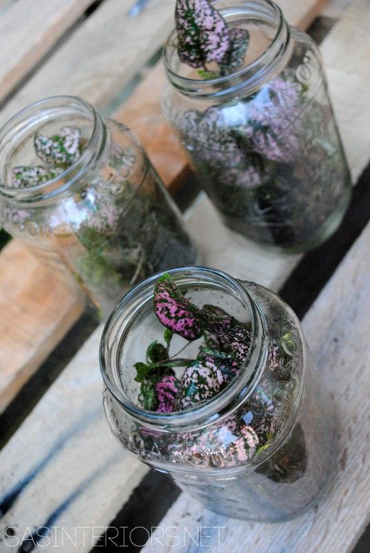 17 Creative DIY Terrarium Ideas