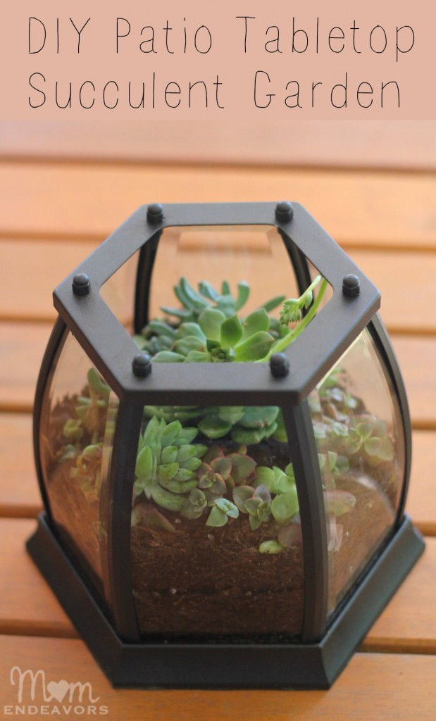 17 Creative DIY Terrarium Ideas