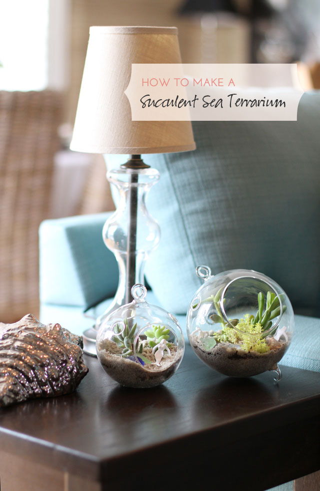 17 Creative DIY Terrarium Ideas